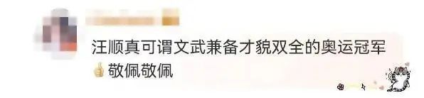 汪順博士論文開題 網(wǎng)友熱議：高深莫測(cè)！-圖1