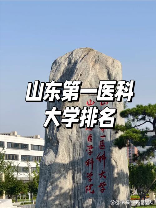 2024年山東醫(yī)學院排名-圖1