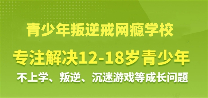 武漢地區(qū)可以改變青春期孩子網(wǎng)癮大/脾氣大/輟學(xué)的特訓(xùn)營推薦-圖2