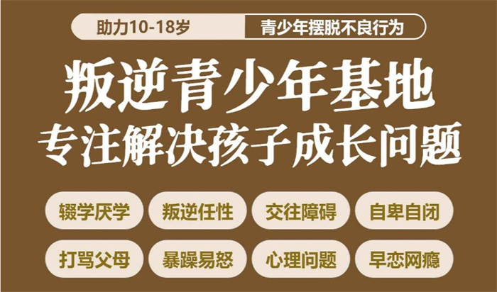 湖北荊州10大家長認可的戒網(wǎng)癮學校名單推薦-正規(guī)值得信賴-圖2