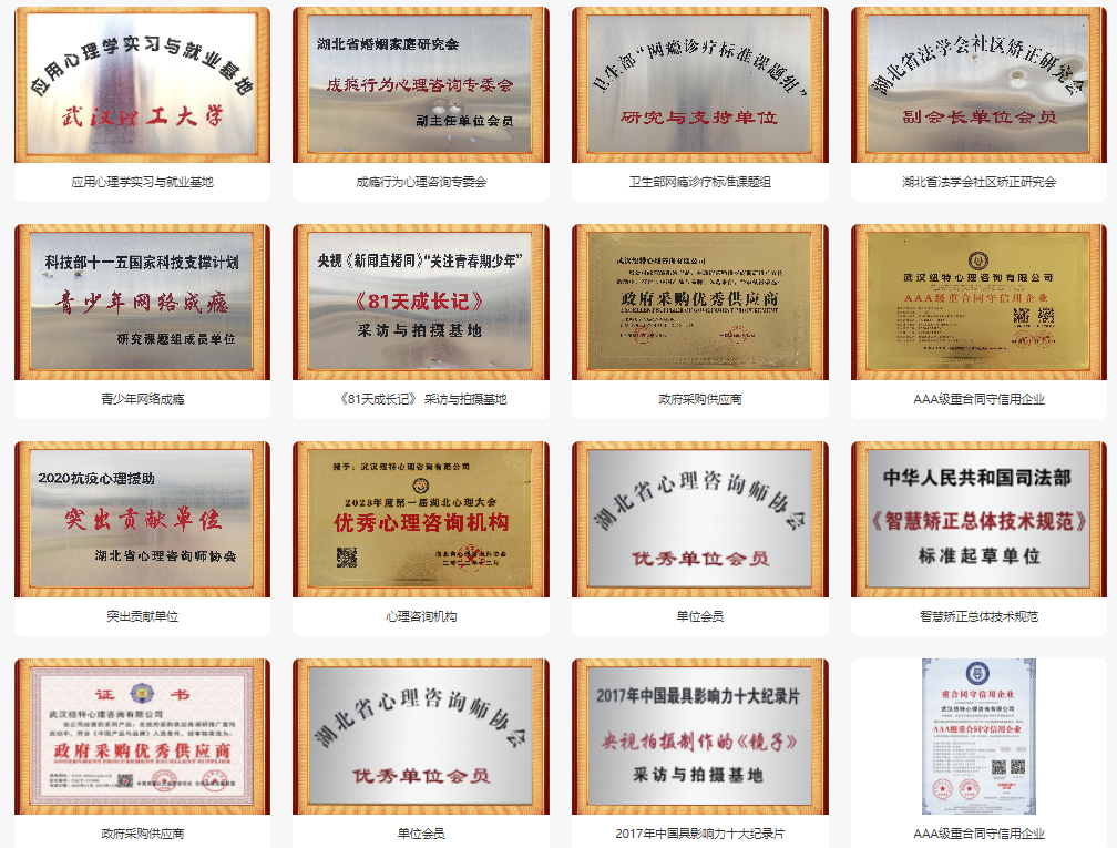 荊門的十大專門矯正青少年叛逆厭學(xué)網(wǎng)癮教育學(xué)校名單一覽-圖3
