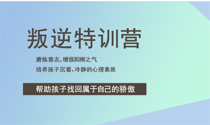 湖北孝感叛逆孩子網(wǎng)癮厭學教育學校：行業(yè)前十推薦 -圖2