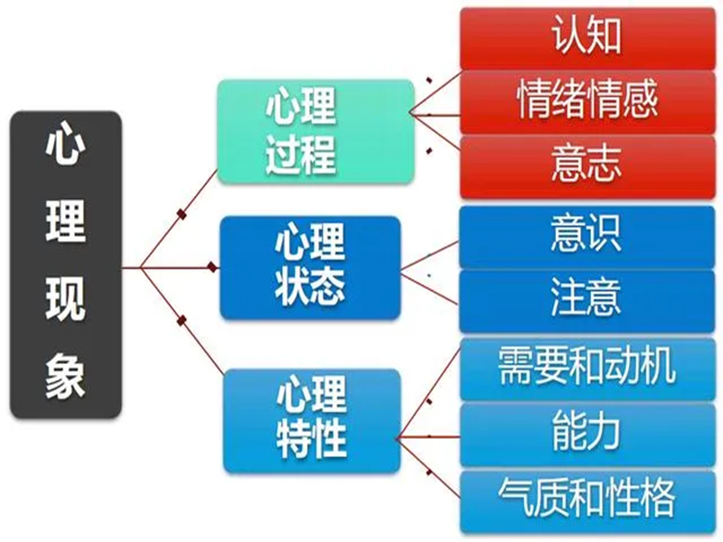 2025年中國(guó)心理衛(wèi)生協(xié)會(huì)的心理咨詢師如何報(bào)考?-圖1