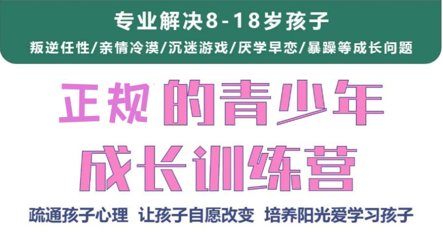 河南十大叛逆軍事化矯正學(xué)校概覽-圖2