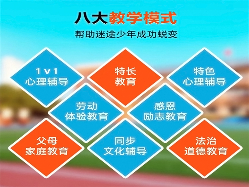 亳州市孩子不上學(xué)、正規(guī)的叛逆戒網(wǎng)癮教育軍事化管理學(xué)校-圖1