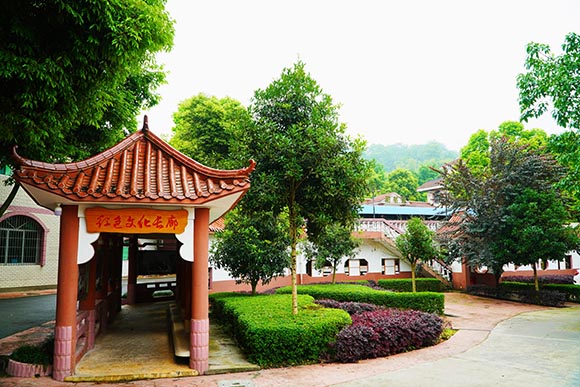 重慶德志錦輝素質(zhì)教育為什么好評如潮？-圖1
