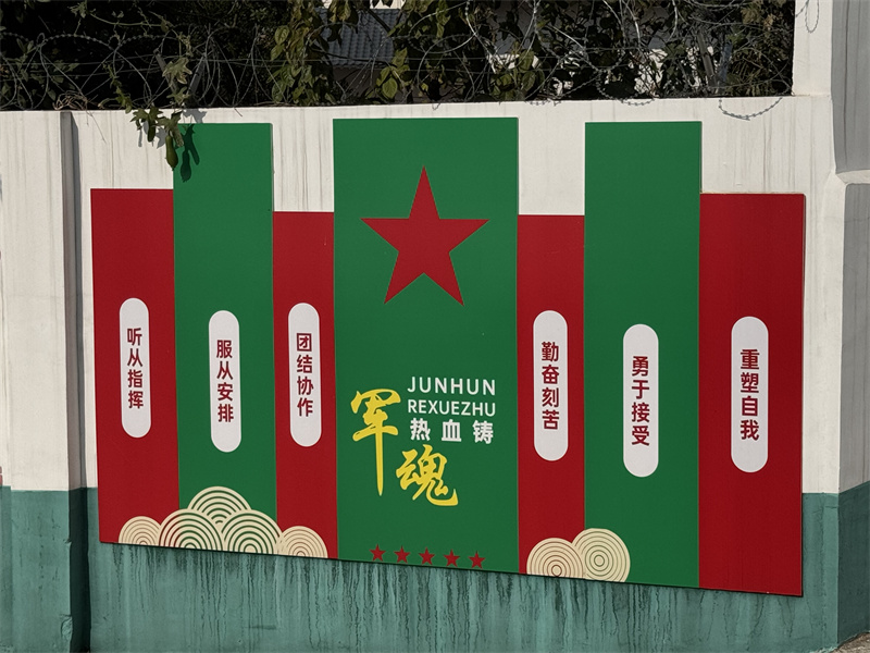 2025年南昌十大青少年叛逆混社會、網(wǎng)癮管教學(xué)校排行榜-圖1