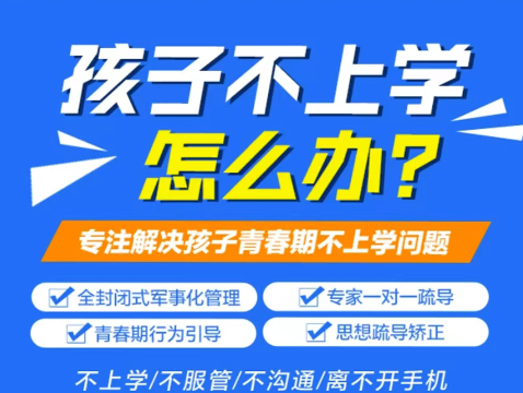 湖北武漢孩子不上學(xué)、叛逆、網(wǎng)癮問題-圖2