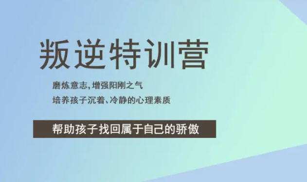 江蘇鎮(zhèn)江青少年叛逆：探索解決之道與素質(zhì)教育學(xué)校推薦-圖2