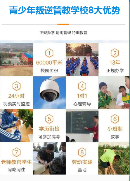 湖北武漢紐特心理-專(zhuān)注孩子網(wǎng)癮、抑郁、叛逆、早戀等-圖2