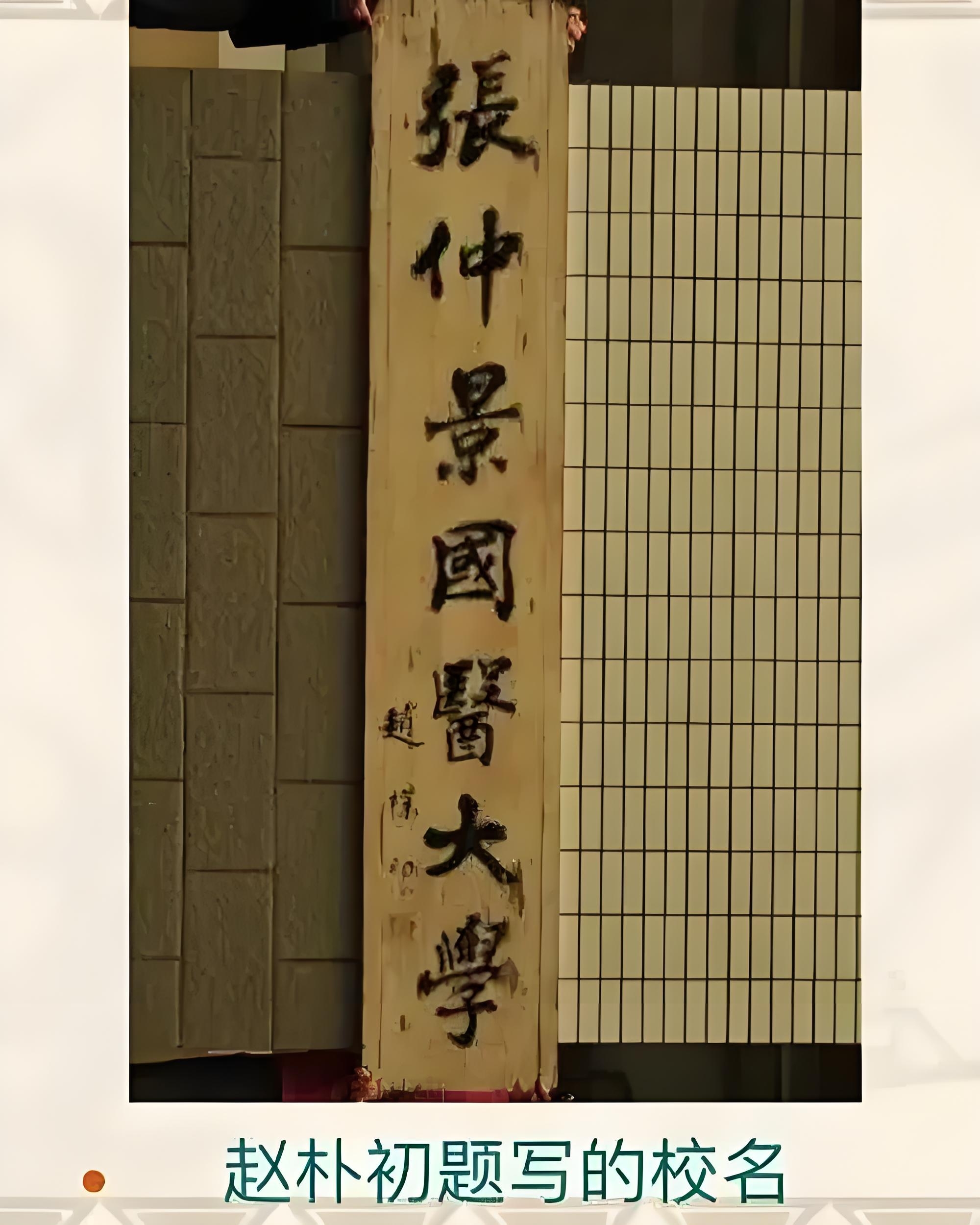 張仲景國醫(yī)學院分數(shù)線-圖1