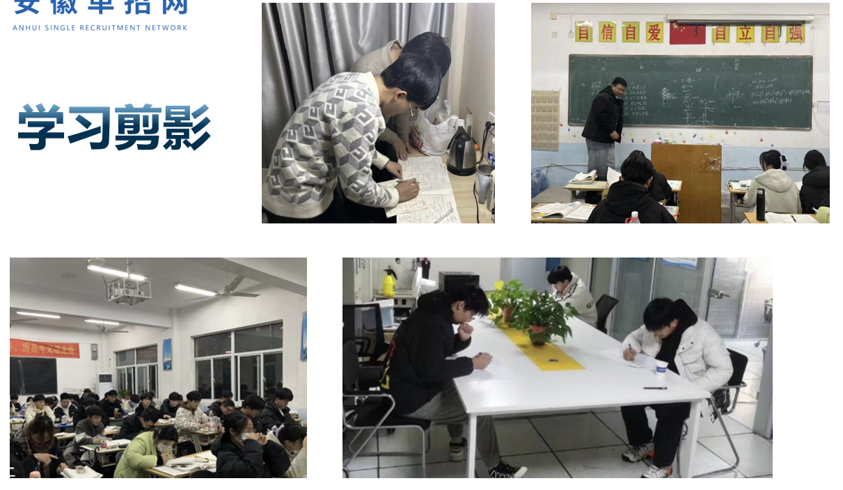 2025年安徽分類考試-安徽單招集訓新選擇-系統(tǒng)培訓，全面提升-圖2
