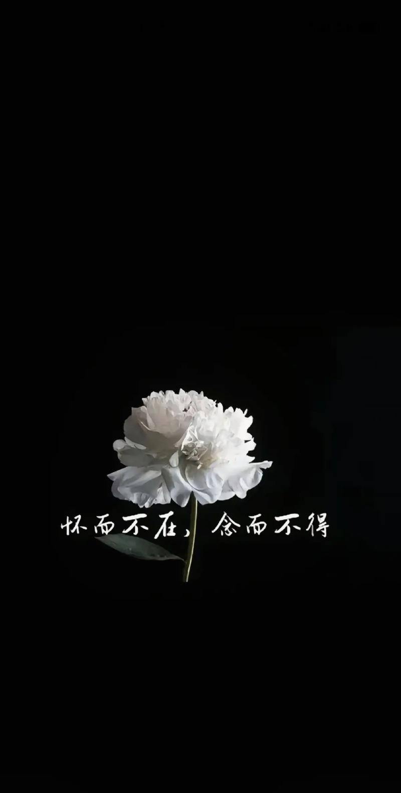 長(zhǎng)眠不起是什么意思_近義詞_來(lái)源-圖1