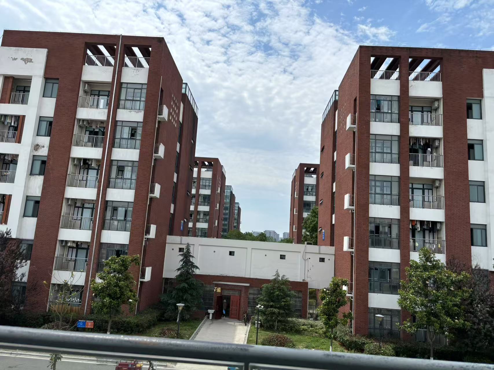 職普融通班招生新政！2025舒城一中報名條件及培養(yǎng)方向-圖1