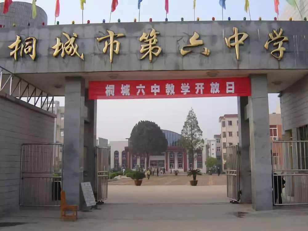 官方發(fā)布｜2025年合肥中考后升學新選擇：桐城六中綜合高中部開啟本科通道-圖1