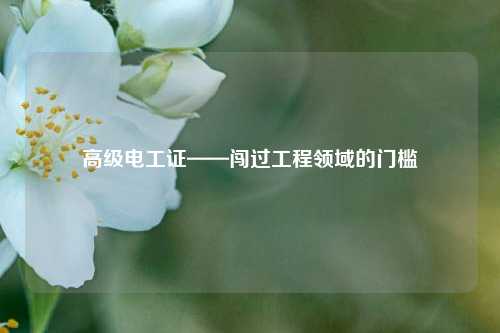 高級(jí)電工證——闖過工程領(lǐng)域的門檻-圖1