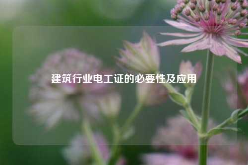 建筑行業(yè)電工證的必要性及應用-圖1