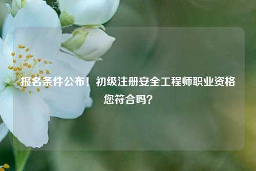 報名條件公布！初級注冊安全工程師職業(yè)資格您符合嗎？-圖1