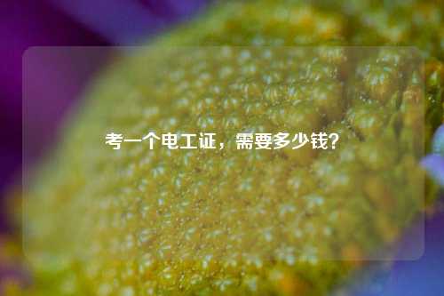 考一個(gè)電工證，需要多少錢(qián)？-圖1