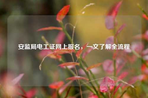 安監(jiān)局電工證網(wǎng)上報(bào)名，一文了解全流程-圖1