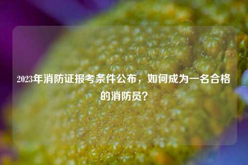 2023年消防證報(bào)考條件公布，如何成為一名合格的消防員？-圖1