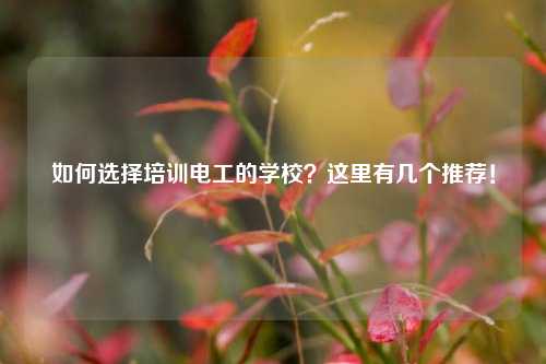 如何選擇培訓(xùn)電工的學(xué)校？這里有幾個(gè)推薦！-圖1