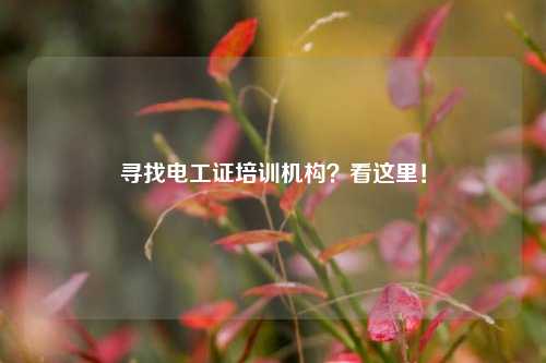 尋找電工證培訓(xùn)機(jī)構(gòu)？看這里！-圖1