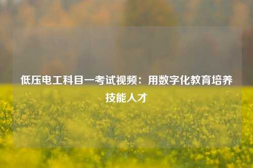 低壓電工科目一考試視頻：用數字化教育培養(yǎng)技能人才-圖1