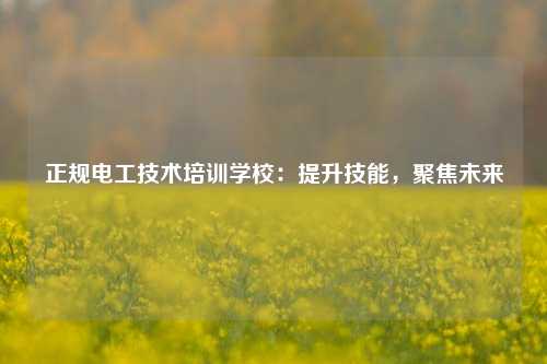 正規(guī)電工技術(shù)培訓(xùn)學(xué)校：提升技能，聚焦未來(lái)-圖1