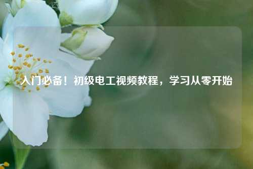 入門(mén)必備！初級(jí)電工視頻教程，學(xué)習(xí)從零開(kāi)始-圖1