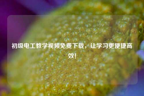 初級(jí)電工教學(xué)視頻免費(fèi)下載，讓學(xué)習(xí)更便捷高效！-圖1