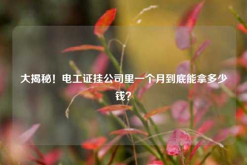 大揭秘！電工證掛公司里一個(gè)月到底能拿多少錢？-圖1