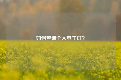 如何查詢(xún)個(gè)人電工證？-圖1