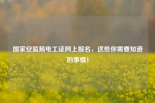 國家安監(jiān)局電工證網(wǎng)上報名，這些你需要知道的事情！-圖1