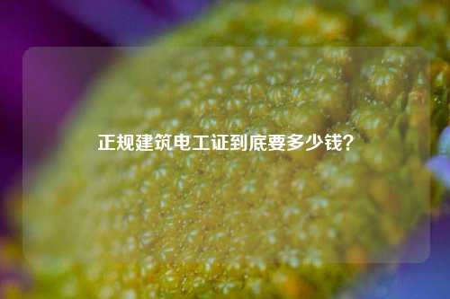 正規(guī)建筑電工證到底要多少錢(qián)？-圖1