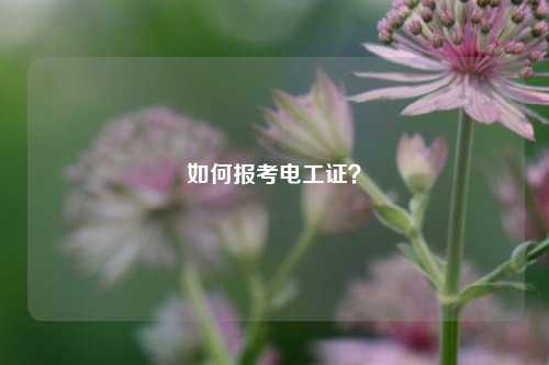 如何報(bào)考電工證？-圖1