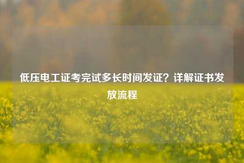 低壓電工證考完試多長時間發(fā)證？詳解證書發(fā)放流程-圖1