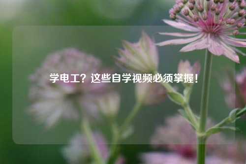 學(xué)電工？這些自學(xué)視頻必須掌握！-圖1