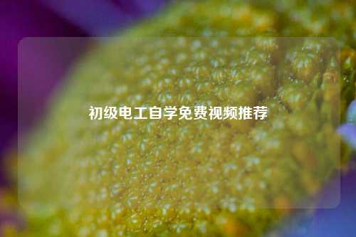 初級電工自學(xué)免費(fèi)視頻推薦-圖1