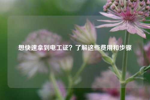 想快速拿到電工證？了解這些費(fèi)用和步驟-圖1