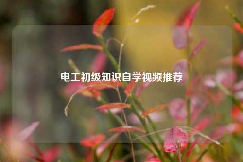 電工初級知識自學(xué)視頻推薦-圖1