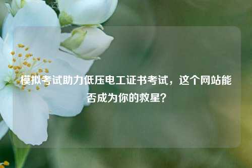 模擬考試助力低壓電工證書考試，這個網(wǎng)站能否成為你的救星？-圖1