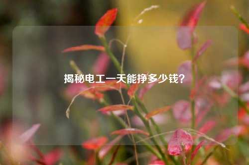 揭秘電工一天能掙多少錢？-圖1
