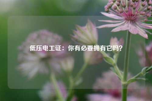 低壓電工證：你有必要擁有它嗎？-圖1