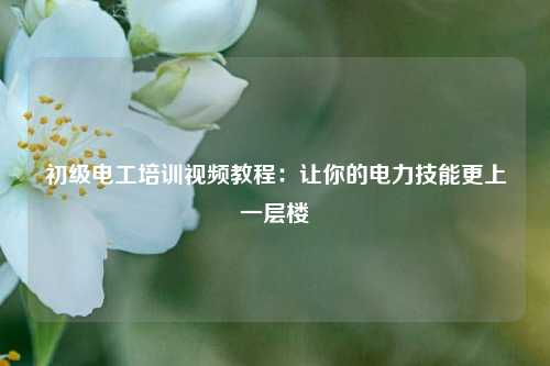 初級電工培訓(xùn)視頻教程：讓你的電力技能更上一層樓-圖1