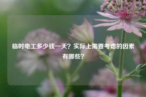 臨時(shí)電工多少錢一天？實(shí)際上需要考慮的因素有哪些？-圖1