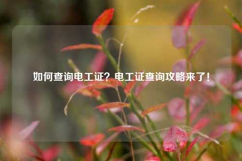 如何查詢電工證？電工證查詢攻略來了！-圖1