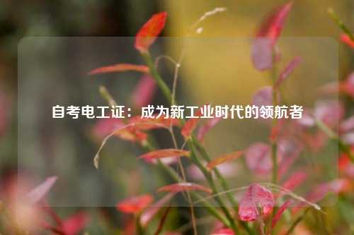 自考電工證：成為新工業(yè)時代的領航者-圖1