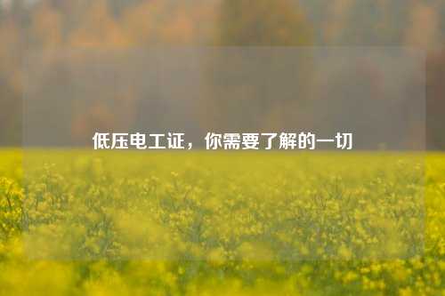 低壓電工證，你需要了解的一切-圖1