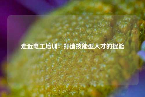 走近電工培訓(xùn)：打造技能型人才的搖籃-圖1